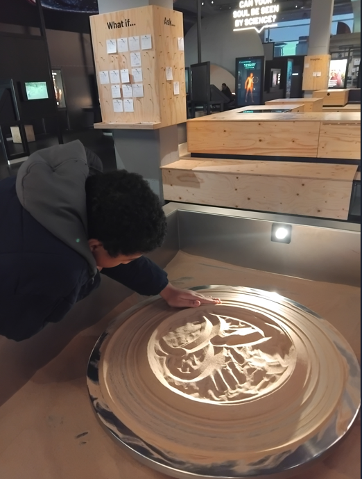 Science Museum Fossils