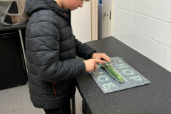 Screenshot-2026-02-24-114503