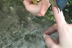 img-3610_orig